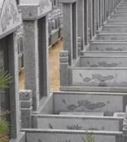 株洲祖坟墓地出现这种现象，大事不妙，千万要注意了！